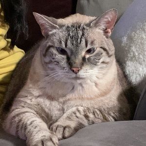 Meet your Posher, Will